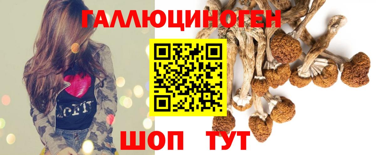 Псилоцибиновые грибы мухоморы Серпухов