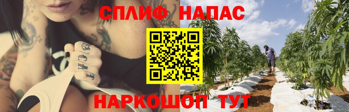Бошки Шишки гибрид  Конопля LSD WEED  Конопля White Widow  Серпухов  Вход с VPN 